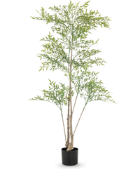 Artificial plant Ruscus 150 cm