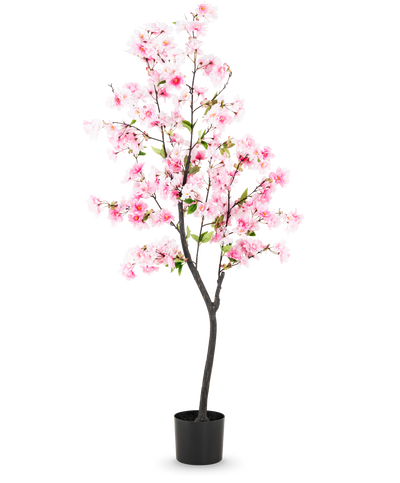De Kunst Kersenbloesem 150 cm roze heeft roze zijden bloemen en groene bladeren in een zwarte pot, tegen een effen witte achtergrond.