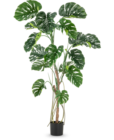 De Kunstplant Monstera 180 cm is een hoge kunstplant met grote, glanzende, gespleten groene bladeren in een kleine zwarte pot, afgebeeld tegen een effen witte achtergrond.