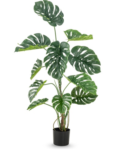 De Kunstplant Monstera 120 cm is een hoge faux monstera in pot met grote, glanzend groene bladeren met natuurlijk ogende gaten en scheuren, tegen een effen witte achtergrond.