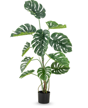 De Kunstplant Monstera 120 cm is een hoge faux monstera in pot met grote, glanzend groene bladeren met natuurlijk ogende gaten en scheuren, tegen een effen witte achtergrond.