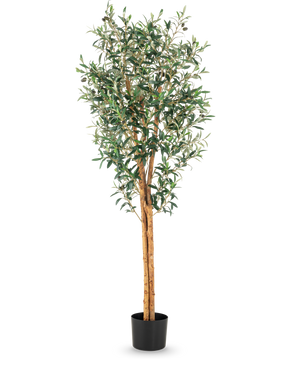 De Kunst olijfboom UV 160 cm is een hoge kunstolijfboom met slanke takken, groene bladeren en een stam met realistische structuur in een eenvoudige zwarte pot tegen een witte achtergrond.