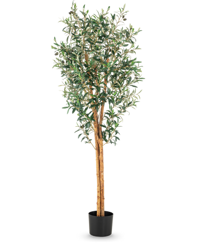 De Kunst olijfboom UV 160 cm is een hoge kunstolijfboom met slanke takken, groene bladeren en een stam met realistische structuur in een eenvoudige zwarte pot tegen een witte achtergrond.
