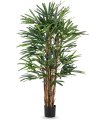 Lady Artificial Palm 150 cm