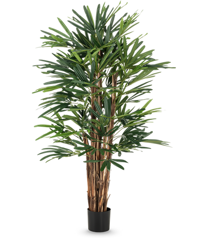 De Lady Kunstpalm 150 cm heeft meerdere bruine stengels en dichte, slanke groene bladeren in een eenvoudige zwarte pot. Deze hoge potplant is ideaal voor liefhebbers van kunstbomen en zorgt voor weelderig groen tegen elke achtergrond.