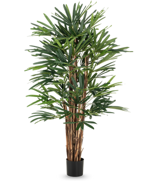 De Lady Kunstpalm 150 cm heeft meerdere bruine stengels en dichte, slanke groene bladeren in een eenvoudige zwarte pot. Deze hoge potplant is ideaal voor liefhebbers van kunstbomen en zorgt voor weelderig groen tegen elke achtergrond.