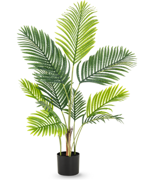 De Kunstplant Phoenix 120 cm heeft meerdere lange stelen met grote, groene, vederlichte bladeren, die de weelderige uitstraling van een tropische plant hebben tegen een effen witte achtergrond.