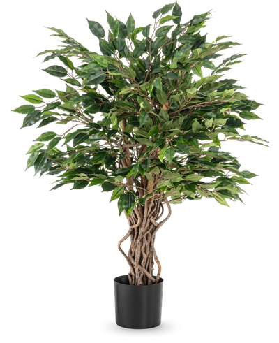 De Kunstplant Ficus Liana 90 cm heeft gedraaide bruine stammen en dichte groene bladeren in een zwarte pot, ideaal als kantoorplant of voor elke ficusverzameling, afgebeeld tegen een witte achtergrond.