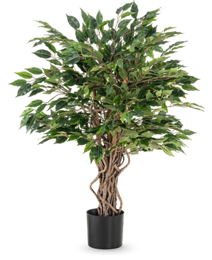 De Kunstplant Ficus Liana 90 cm heeft gedraaide bruine stammen en dichte groene bladeren in een zwarte pot, ideaal als kantoorplant of voor elke ficusverzameling, afgebeeld tegen een witte achtergrond.