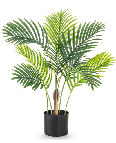 De Kunstplant Phoenix 85 cm heeft verschillende hoge groene palmbladeren en wordt geleverd in een eenvoudige zwarte pot, perfect tegen een witte achtergrond.