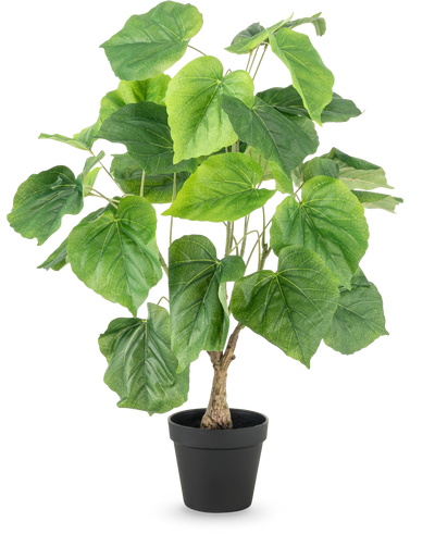 De Kunstplant Ficus 60 cm heeft grote, groene, hartvormige bladeren en een gestructureerde stam in een eenvoudige zwarte plastic pot, tegen een witte achtergrond.