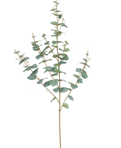 De Kunst Eucalyptus 96 cm heeft slanke stelen en ronde, blauwgroene bladeren, elegant weergegeven tegen een effen witte achtergrond.