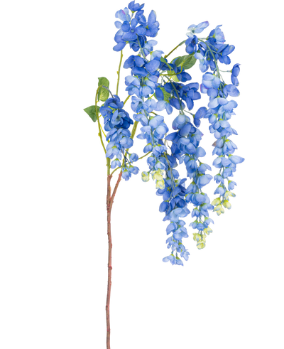 Een enkele Kunst Blauweregen steel van 115 cm met levendige blauwe blauweregen bloemen en groene bladeren op een lange, slanke bruine steel, geïsoleerd op een witte achtergrond.