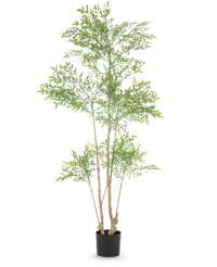 Artificial plant Ruscus 180 cm