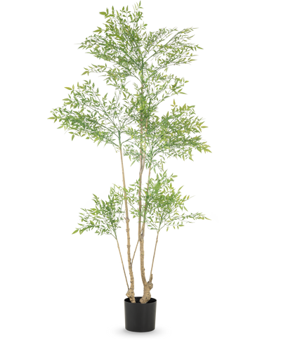 De Kunstplant Ruscus 180 cm is een hoge kunstplant met meerdere slanke stammen en overvloedige kleine groene bladeren, weergegeven in een eenvoudige zwarte pot tegen een witte achtergrond.