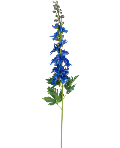 Een enkele stengel Kunstbloem Delphinium 79 cm blauw met blauwe bloemen en groen gedeeld blad, tegen een effen witte achtergrond.