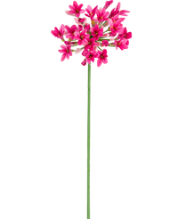 Artificial Agapanthus 77 cm pink