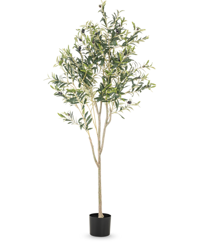 De Kunst Olijfboom 180 cm heeft meerdere slanke takken en groene bladeren in een eenvoudige zwarte pot, tegen een effen witte achtergrond - een elegant decoratief accent voor elke ruimte.