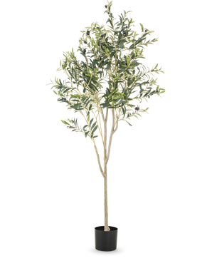 De Kunst Olijfboom 180 cm heeft meerdere slanke takken en groene bladeren in een eenvoudige zwarte pot, tegen een effen witte achtergrond - een elegant decoratief accent voor elke ruimte.