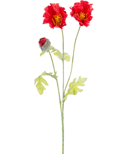 De Kunstbloem Klaproos 73 cm rood heeft een enkele groene stengel met twee open rode klaproosbloemen, een gedeeltelijk gesloten rode knop en lichtgroene bladeren, allemaal tegen een effen witte achtergrond.