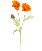 Een botanische illustratie van de Kunstbloem klaproos 73 cm oranje toont twee open oranje bloemen en een gesloten knop op lange groene stelen met lichtgroene, diep gelobde bladeren.