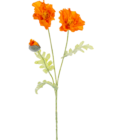Een botanische illustratie van de Kunstbloem klaproos 73 cm oranje toont twee open oranje bloemen en een gesloten knop op lange groene stelen met lichtgroene, diep gelobde bladeren.