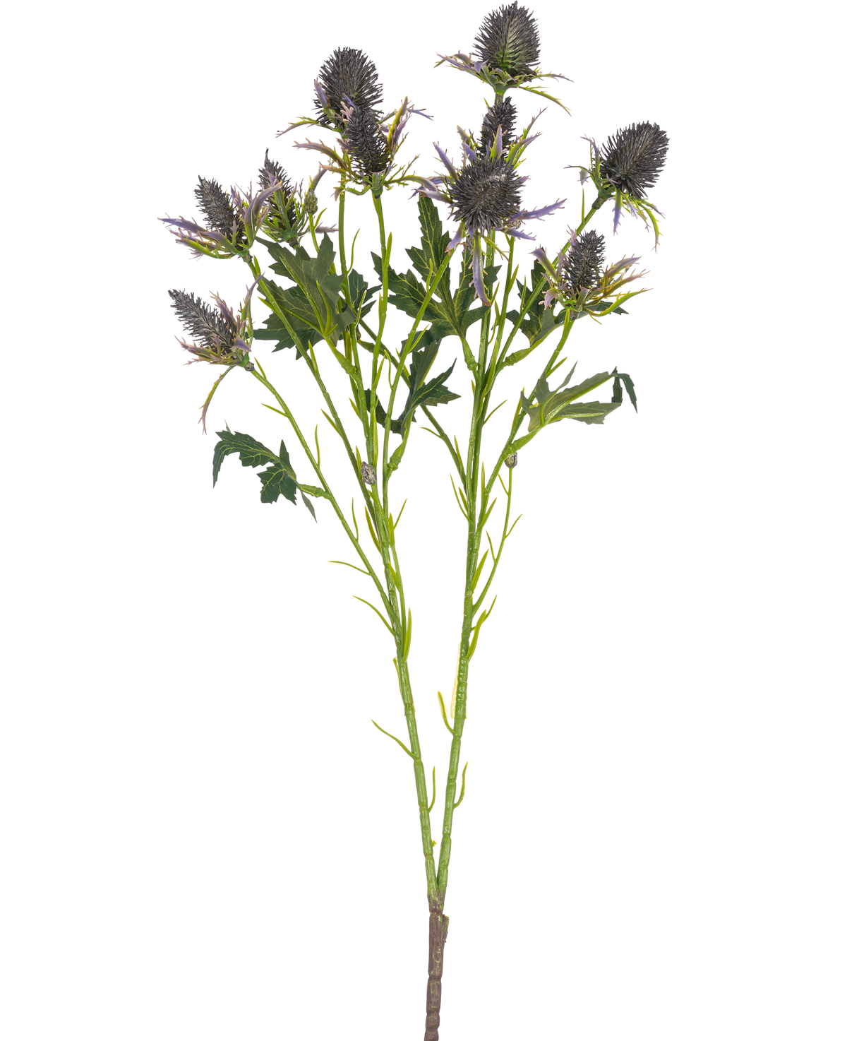 The Artificial Branch Thistle 68 cm blue has a single stem with multiple spiky blue thistle flowers and serrated green leaves, isolated on a white background.