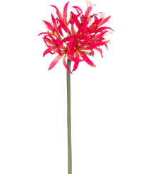 Artificial flower Nerine 70 cm fuchsia