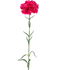Artificial flower Carnation 69 cm hard pink