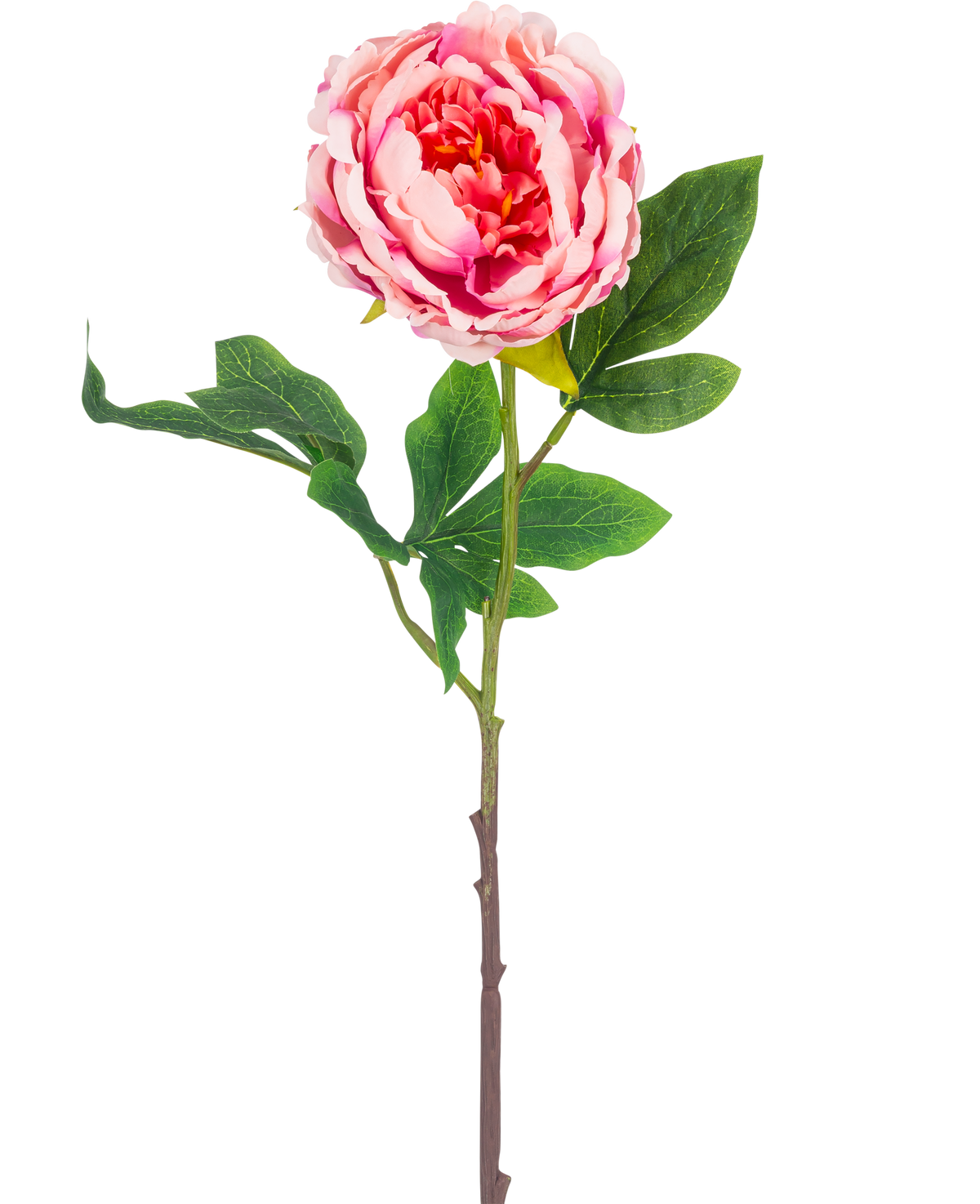 The Artificial Flower Peony 61 cm pink has a single pink peony with lush green leaves and a long brown stem, isolated on a white background.