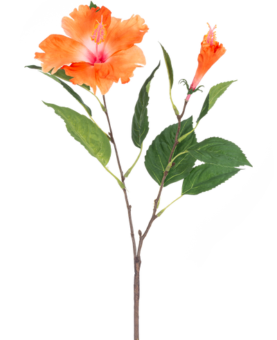 De Kunstbloem Hibiscus 64 cm oranje heeft een enkele steel met groene bladeren en twee oranje bloemen, één uitgebloeid en één in knopvorm, op een witte achtergrond.