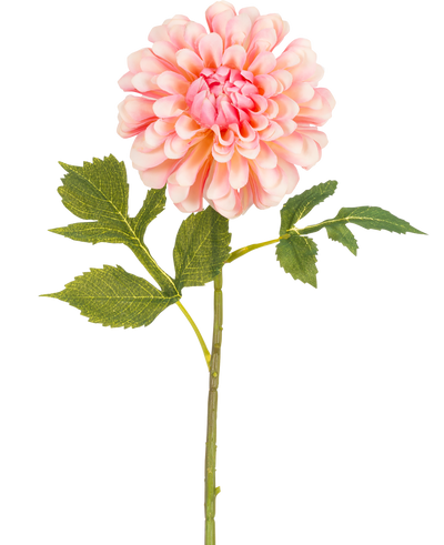 De Kunstbloem Dahlia 50 cm roze is een enkele roze kunstdahlia met gelaagde bloemblaadjes en een groene steel met drie sets gekartelde bladeren, tegen een witte achtergrond.