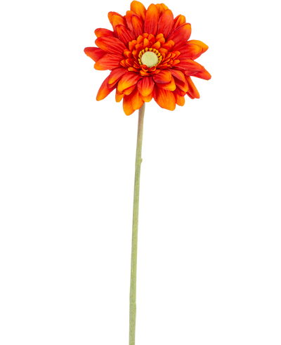 De Kunstbloem Gerbera mini 47 cm zacht oranje is een kunstmadeliefje met gelaagde bloemblaadjes, een geel hart en een lange groene steel, geïsoleerd weergegeven op een witte achtergrond.