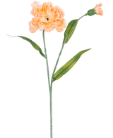 De Kunstbloem Anjer 40 cm perzik is een kunstanjer in licht perzik met groene bladeren en een kleine ongeopende knop, afgebeeld op een witte achtergrond.