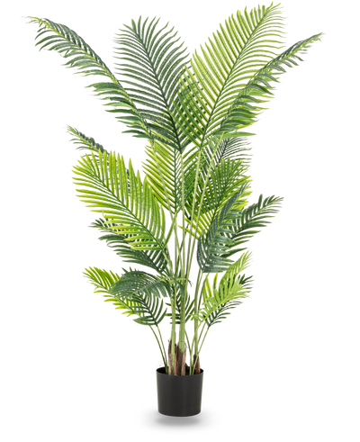 De Kunstplant Phoenix 180 cm is een hoge kunstplant met weelderige groene bladeren in een zwarte pot die een tropische sfeer toevoegt aan elke ruimte. Afgebeeld tegen een effen witte achtergrond.