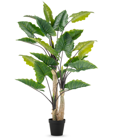 De Kunstplant Alocasia 240 cm is een hoge kunstplant met grote groene bladeren en meerdere stengels in een zwarte pot, tegen een effen witte achtergrond.