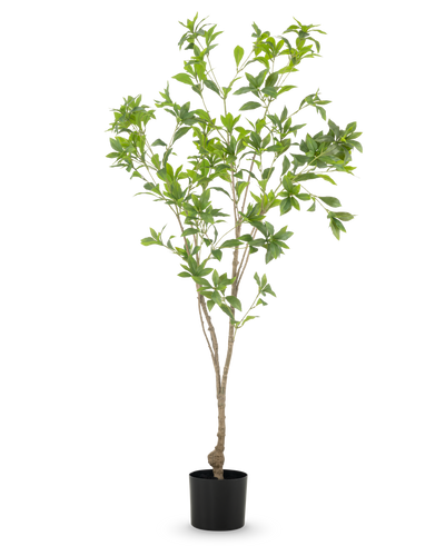 De Kunstplant Pieris Japonica 150 cm heeft slanke takken en overvloedige groene bladeren in een eenvoudige zwarte pot, tegen een witte achtergrond.
