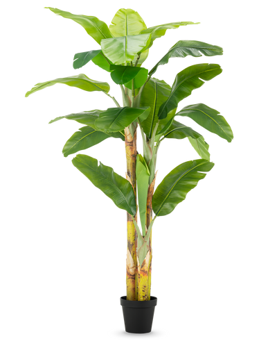 De Kunstplant Bananenboom 230 cm heeft hoge, stevige stelen met brede groene bladeren, in een eenvoudige zwarte pot tegen een witte achtergrond.