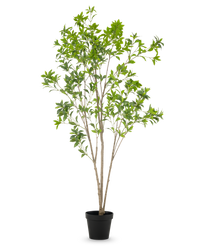 Artificial plant Pieris Japonica 210 cm