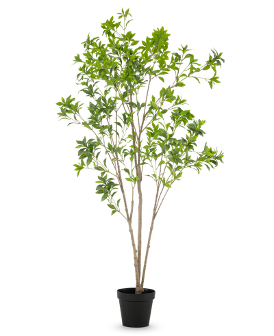De Kunstplant Pieris Japonica 210 cm heeft meerdere slanke bruine stelen en overvloedige groene bladeren, gepresenteerd in een hoge pot tegen een effen witte achtergrond.