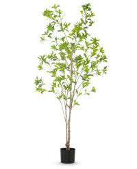 Artificial plant Pieris Japonica 180 cm