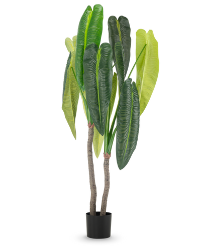 De Kunstplant Anthurium 180 cm heeft twee bruine stelen en grote, langwerpige groene bladeren in verschillende tinten, in een kleine zwarte pot tegen een witte achtergrond.