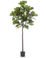 The Artificial Plant Ficus Tobacco Plant Deluxe 215 cm is a tall artificial fig with large green leaves and a slender brown trunk, in a simple black pot against a plain white background.