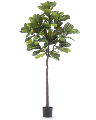 De Kunstplant Ficus Tabaksplant Deluxe 215 cm is een hoge kunstvijg met grote groene bladeren en een slanke bruine stam, in een eenvoudige zwarte pot tegen een effen witte achtergrond.