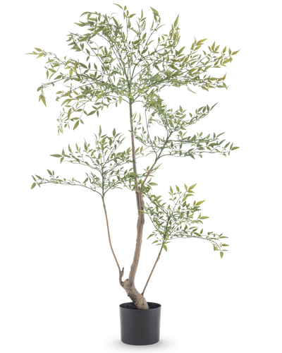 De Kunstplant Ruscus 120 cm is een hoge, slanke kunstplant met lange dunne takken met veel kleine groene blaadjes. Hij staat in een eenvoudige zwarte pot en brengt realistisch groen in elke ruimte zonder dat onderhoud nodig is.
