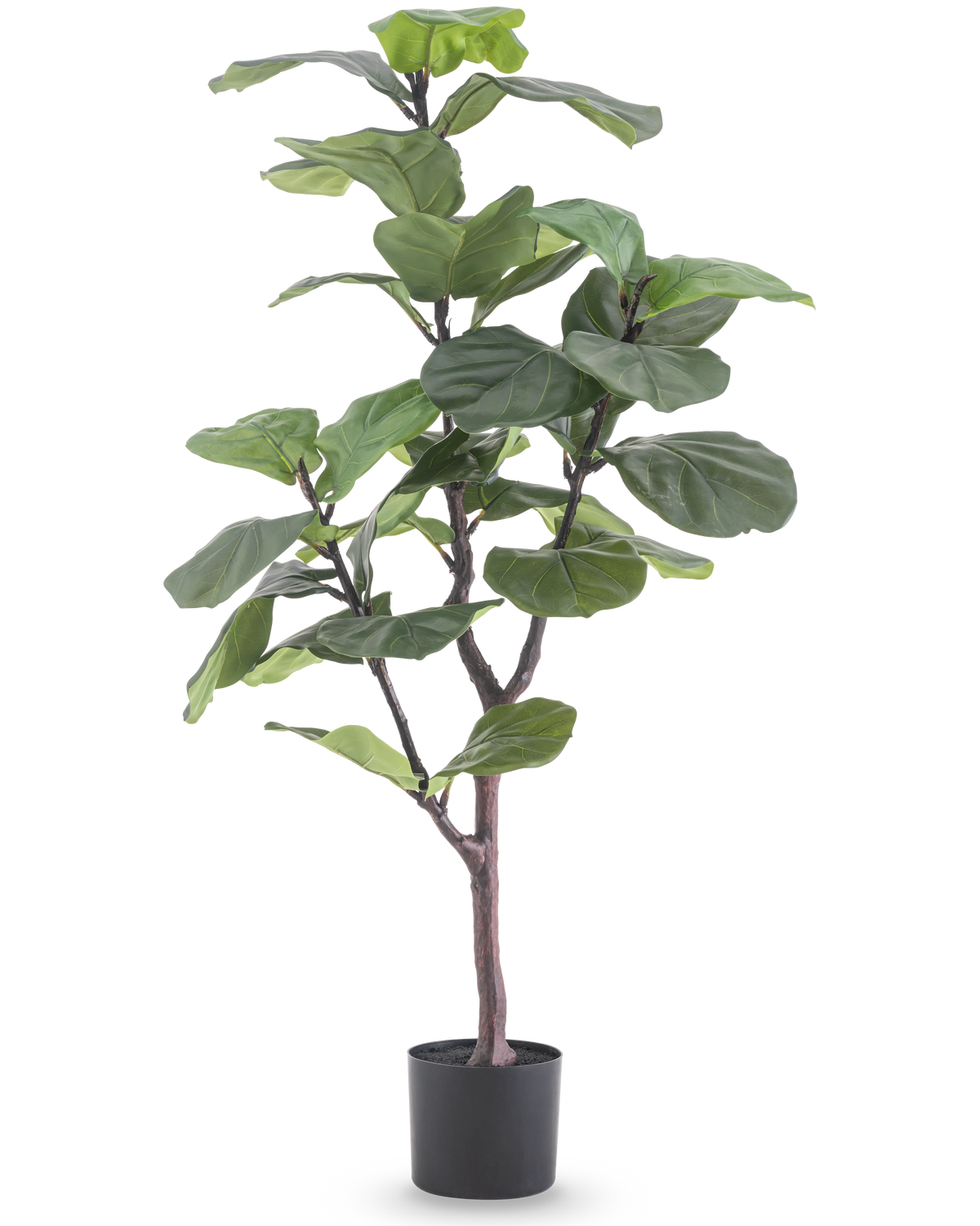 The Artificial Plant Ficus Tobacco Plant Deluxe 125 cm has large, glossy green leaves and a slender brown stem in a black pot, which adds an African atmosphere as a green houseplant against a white background.