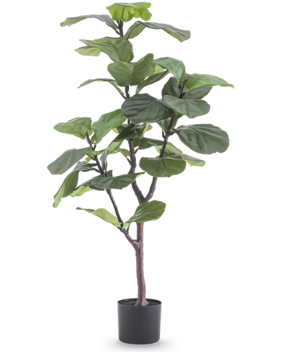 De Kunstplant Ficus Tabaksplant Deluxe 125 cm heeft grote, glanzende groene bladeren en een slanke bruine stam in een zwarte pot, die een Afrikaanse sfeer toevoegt als groene kamerplant tegen een witte achtergrond.