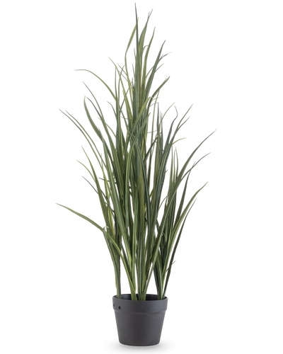 De Kunstgras Groen UV 90cm is een hoge kunstplant met lange, slanke groene bladeren die rechtop staan in een donkergrijze pot op een effen witte achtergrond.
