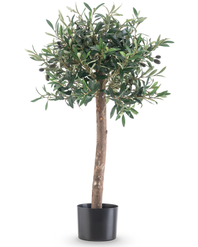 De Kunst olijfboom UV 85 cm heeft een rechte stam, dichte groene bladeren en kleine zwarte olijven. Deze onderhoudsvriendelijke kunstplant in zwarte pot blijft altijd mooi en is perfect voor binnen of buiten dankzij de UV-bestendigheid.