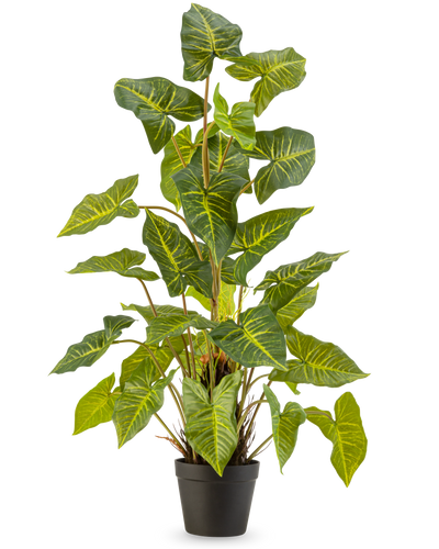 De Kunstplant Trapa Bispinosa 90 cm groen is een potplant met grote, groene, hartvormige bladeren met gele nerven, in een zwarte pot tegen een effen lichte achtergrond.